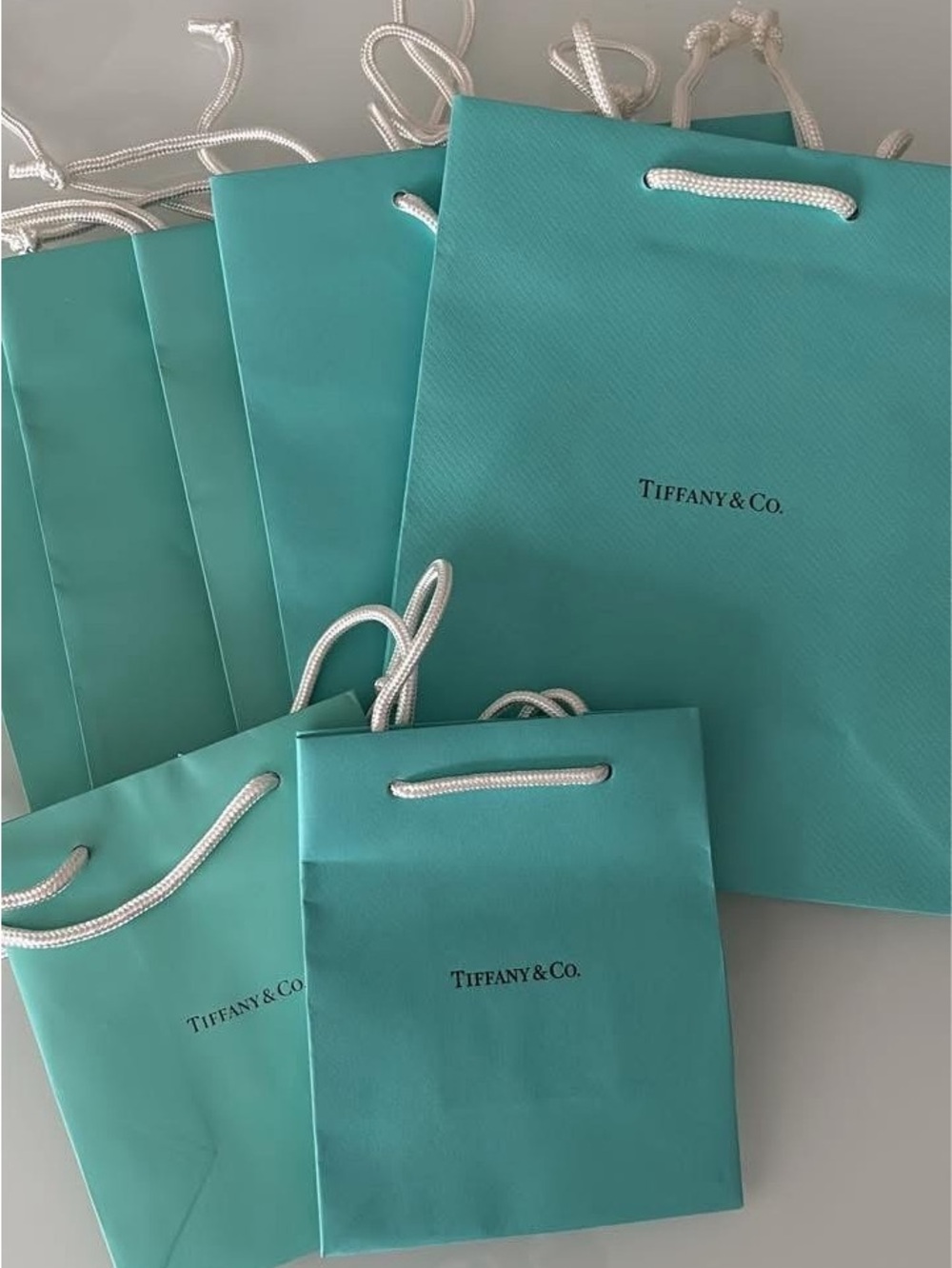 Tiffany & Co. Shopping Gift Bags